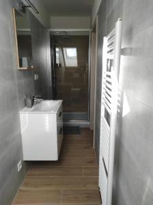 弗林布尔克Apartmán Frymburk 700的浴室配有白色水槽和淋浴。