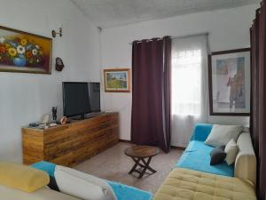 勒莫尔尼Ideal for kite surfer&family的带沙发和电视的客厅