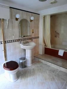 达宁顿堡多宁顿庄园酒店的浴室配有卫生间、盥洗盆和浴缸。
