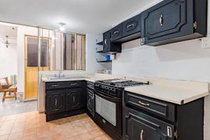墨西哥城Ayenda Los Colorines de Coyoacán的厨房配有黑色橱柜和炉灶烤箱。