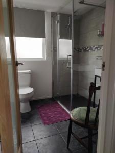 利明顿温泉Offa Home的带淋浴、卫生间和椅子的浴室