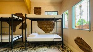 Eco Casa di Barro Hospedagem e Hostel客房内的一张或多张双层床