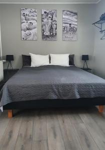 瓦玛里德Lækjarbakki 11的卧室配有一张四幅画的墙壁床。