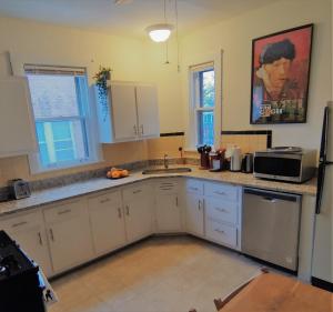 奥克帕克Historic Oak Park Home for 6 / Hemingway District的厨房配有水槽和微波炉