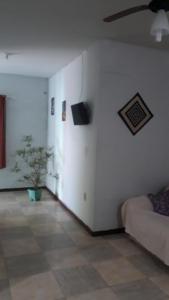TamoiosCasa Verde的带沙发和电视的客厅