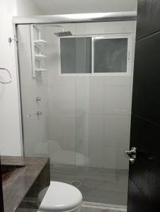 阿卡普尔科ACAPULCO DIAMANTE!! HERMOSO DEPARTAMENTO NUEVO!!的一间带卫生间和玻璃门的浴室