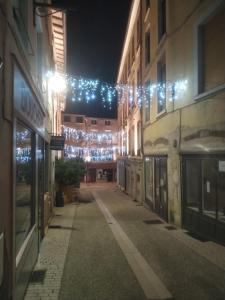 维也纳Duplex Viennois的一条空的街道,晚上有圣诞灯