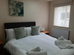 阿尼克霍利旅舍的卧室配有带枕头的白色床和窗户。