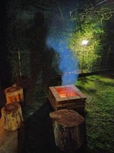 蓬塔德尔加达Cantinho da Luz的院子里的火坑,有两根木头
