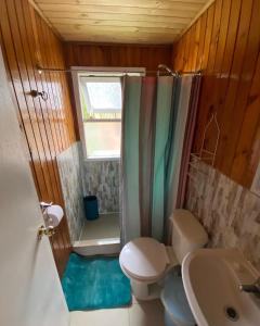比亚里卡Cabañas Campestres Villarrica的浴室配有卫生间、淋浴和盥洗盆。