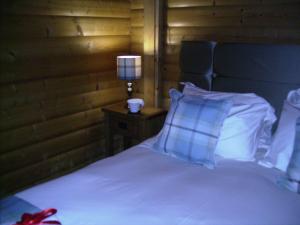 卡莱尔Pheasant Lodge Scottish Borders的一间卧室,配有一张床和床头灯