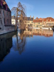 布鲁日Bruges Grande Place Guesthouse的建筑物前方的一大片水