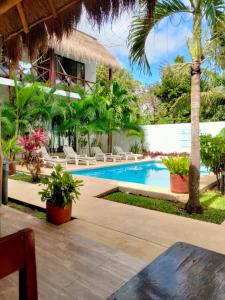 巴卡拉尔Azul 36 Hotel的一个带游泳池和棕榈树的度假村