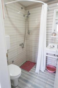 维尔蒂尼克Apartmani Zapis Vrdnik的带淋浴、卫生间和盥洗盆的浴室