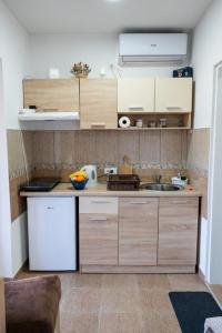 维尔蒂尼克Apartmani Zapis Vrdnik的一个带木制橱柜和水槽的小厨房