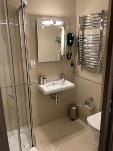 波亚纳布拉索夫Silver Luxury 6的带淋浴、盥洗盆和卫生间的浴室