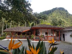 萨兰托Hostal Rio Arabia - Valle De Cocora HOTEL的前面有橘子花的房子