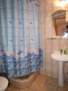泽尔内什蒂Pensiunea Irina 1 si 2的浴室配有淋浴帘和盥洗盆。