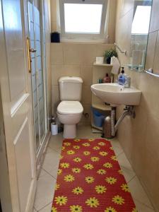 沙姆沙伊赫Cherry Apartment的一间带卫生间和水槽的浴室以及红色地毯。
