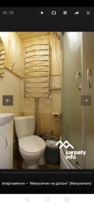 米库利钦микуличин на долоні的一间带卫生间和淋浴的浴室