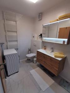 摩拉瓦托普利采Apartman PIKY No.10的一间带水槽和卫生间的浴室