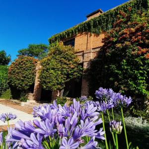 埃斯基纳LA USINA VIEJA的一座花园,在一座建筑前种有紫色花卉