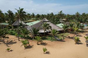 AzizacoueCasa Del Papa Resort & SPA的海滩上的度假村的空中景致