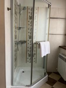 奇姆肯特Orbita hotel Shymkent的浴室里设有玻璃门淋浴