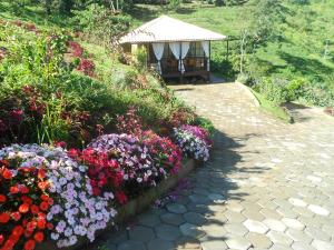 Pedra MeninaCasa do Lago的鲜花盛开的花园及凉亭