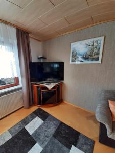 SiptenfeldeFerienhaus Harzidylle的客厅配有平面电视和沙发。