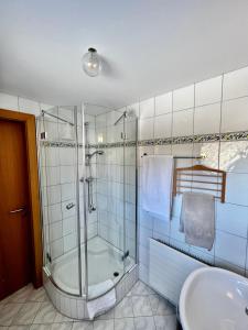施瓦岑贝格Wiesen Appartment的带淋浴和盥洗盆的浴室