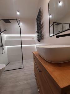 米兹多洛杰Apartament Aniutka的浴室设有白色水槽和镜子