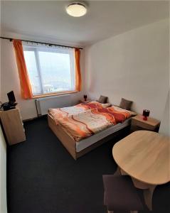 KlínyUbytování U Janičky的一间卧室配有一张床、一张桌子和一个窗户。