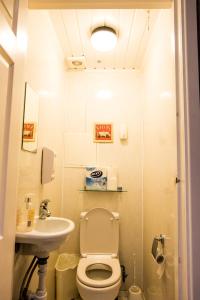 伦敦中央酒店的一间带卫生间和水槽的小浴室