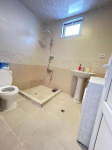 拉戈代希Jibghashvilebi's house的带淋浴、卫生间和盥洗盆的浴室