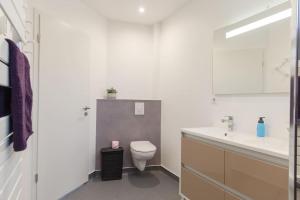 阿梅尔斯克维Chez Delphine的白色的浴室设有卫生间和水槽。