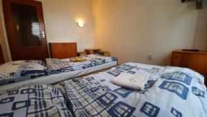 帕尔杜比采克里斯勒酒店的配有两张蓝色和白色床单的床铺