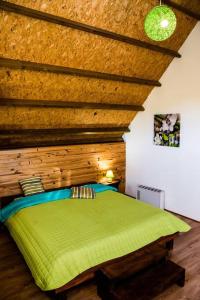 勒唐蓬Chalet des Hauts- Vue piton des neiges的一间卧室设有一张绿色的床和木制天花板