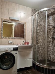 切尔尼戈夫切尔尼戈夫市中心公寓的一间带洗衣机和淋浴的浴室