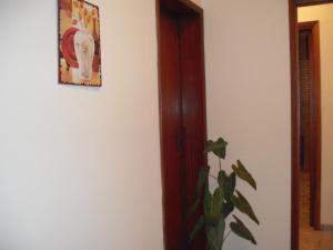 卡拉塔菲米Calatafimi Segesta - Appartamento Garibaldi的墙上一头大象的植物照片