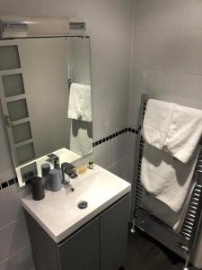 彭赞斯海豚宾馆的一间带水槽和镜子的浴室