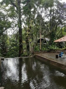 佩尼多Toca da Onça的森林中间有池塘的房子