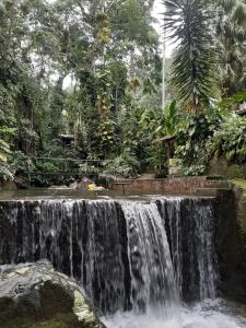 佩尼多Toca da Onça的森林中间的瀑布