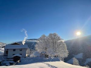 蓬高圣约翰Lindbichlhof Urlaub am Bio Bauernhof的相册照片