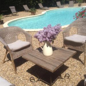 卡尔卡松奥克斯昂格加迪安斯酒店的游泳池畔桌子上紫色花瓶