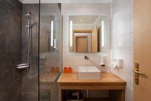 萨尔巴赫坦能堡酒店的一间带水槽和淋浴的浴室