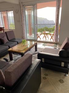 HenriettaGreen Discovery B&B Tamarind Falls 7 Cascades的带沙发和桌子的客厅以及阳台。