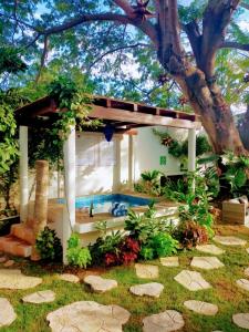 新巴利亚塔Villas Parota Inn的花园内的游泳池,带凉棚