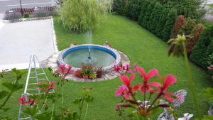 斯诺基Guesthouse Vila的花园,花园中设有一座带鲜花和梯子的小游泳池