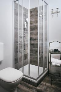 萨尔茨堡优博夫尔精品酒店的带淋浴、卫生间和盥洗盆的浴室